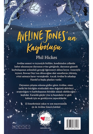 Aveline Jonesun Kayboluşu