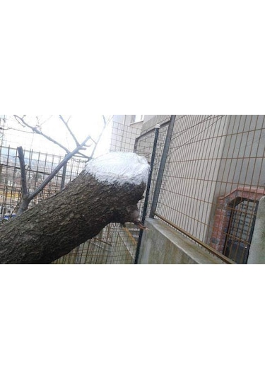 Gmt Pro-jell Aşı Ve Budama Macunu 100 Gr