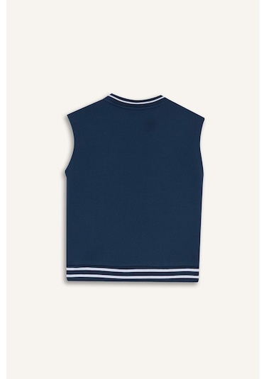 Defacto Erkek Çocuk V Yaka Baskılı Okul Süveteri F2709a825aube829 Mavi