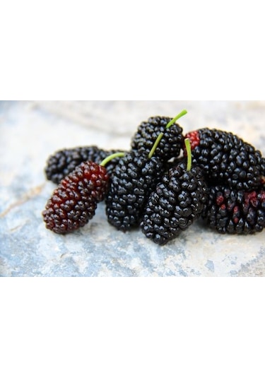 Çukurovalı Doğal Karadut Suyu 5 L