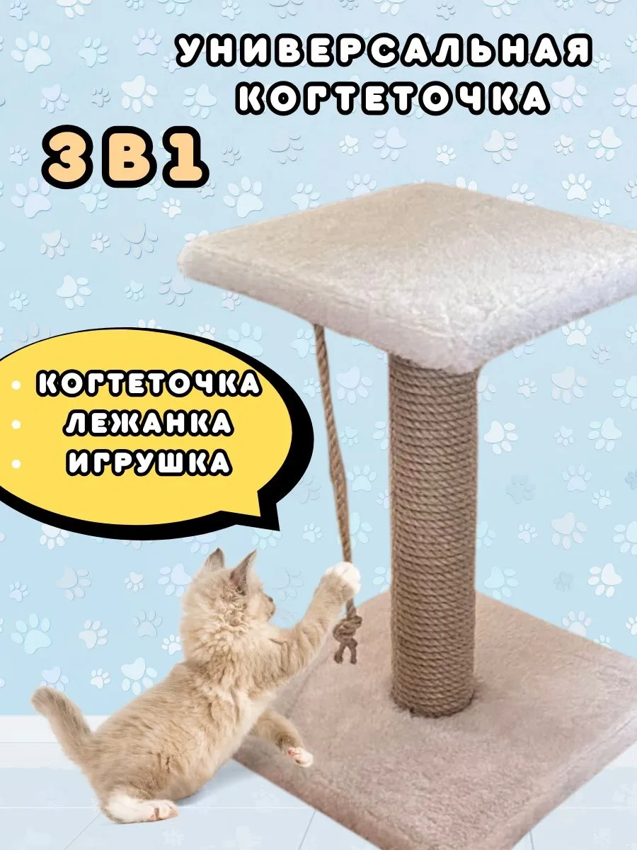 Mr Cat Yavru Kediler İçin Tırmalama Direği 343531753