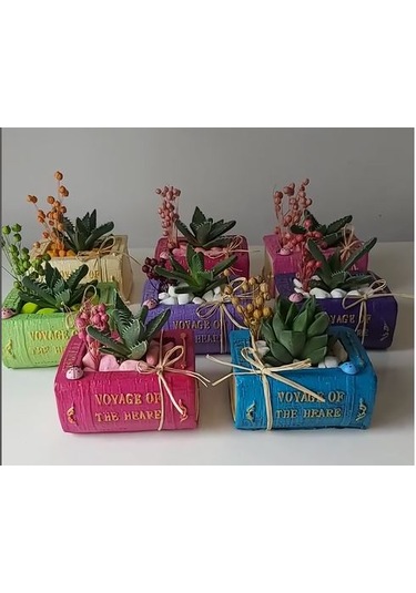 Kitap Saksı Küçük Boy