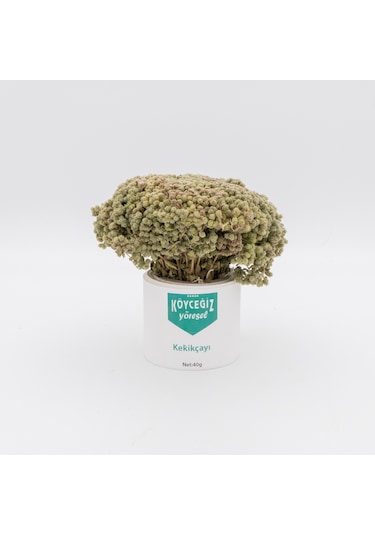 Köyceğiz Yöresel Kekik Çayı 50 G