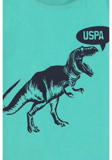 U.s. Polo Assn. Erkek Çocuk Mint Tişört 50307200-vr090 Mint