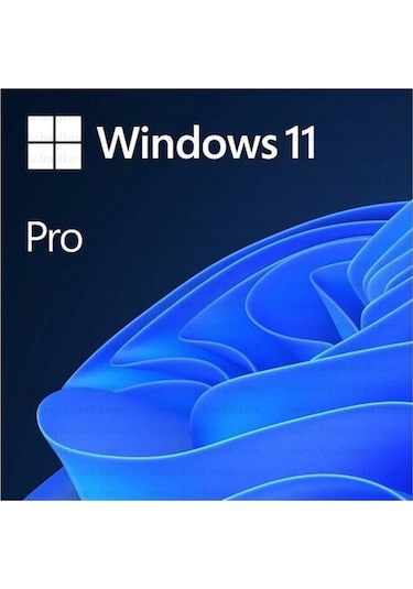 Ms Wındows 11 Pro 64Bıt Eng Oem Fqc-10528