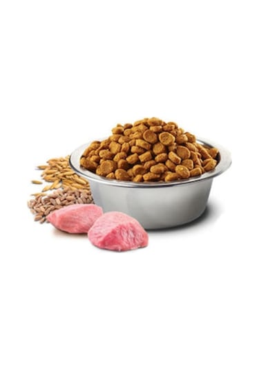 N&D Düşük Tahıllı Kuzu Etli Yaban Mersinli Orta ve Büyük Irk Yetişkin Köpek Maması 12 KG