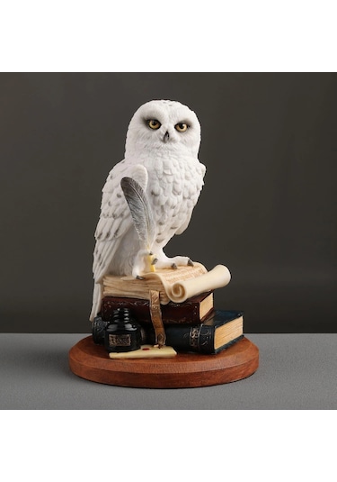 Kitap Üzerinde Beyaz Kar Baykuşu Hedwig Biblosu