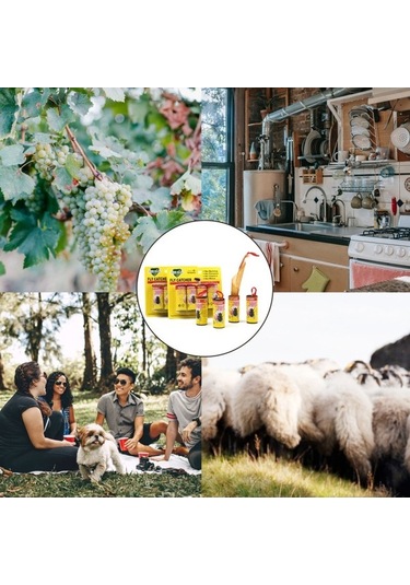 Bloomnest Kimyasalsız Çift Taraflı Sinek Tuzağı - Dış İç Uygun 24 Rulo Yapışkan Bant Tek Kullanımlık Sinek Yakalayıcı