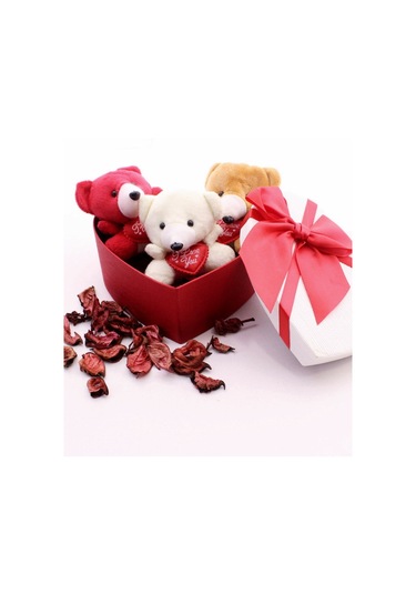 Kalp Kutuda Mini Ayıcıklar Hediye Seti Sevgiliye Eşe Sürpriz Sevgiliye Hediye Strglbl75