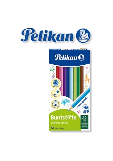 Kuru Boya Kalemi 12'li Kutu Çok Renkli