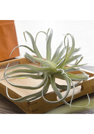 Qingmipy 3 Plastik Simülasyon Ananas Otu Yapay Bitki - Ev Ofis Düğün Dekorasyonu Masaüstü Saksı Bitkisi Yeşil