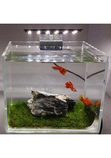 Vkemall Minimalist Siyah Akvaryum Led Işığı - 12 Ultra Parlak Led'li, Su Bitkileri Için Uygun, 5w, Avrupa Fişi, 6mm Tank Duvarı Uyumlu