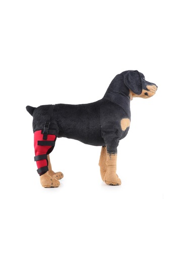 Homyl Köpek Yardımcı Kemer Sağ-arka-bacak-kırmızı-l