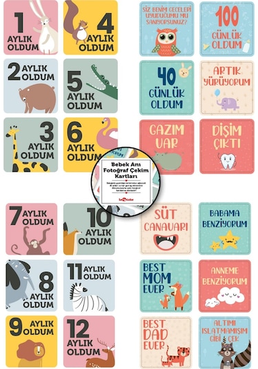 Bebek Anı Defteri Erkek Stickerlı + Çekim Ve Zeka Kartları Seti