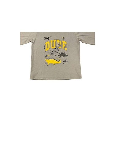 Divonette Erkek Çocuk Dinazor Baskılı Uzun Kollu T-shirt-15088 Gri