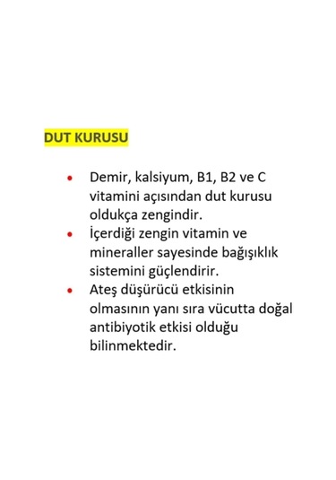 Tuğba Kuruyemiş Dut Kurusu 250 Gr