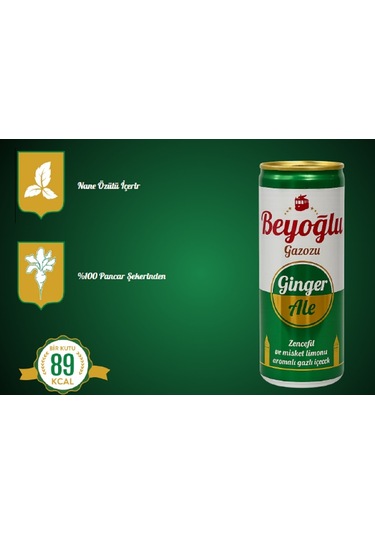 Beyoğlu Ginger Ale Zencefil Aromalı Gazlı İçecek 24 x 250 ML