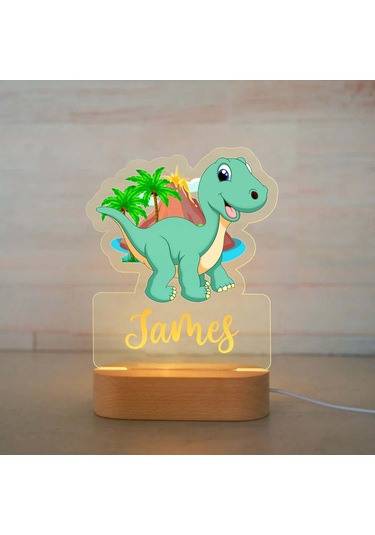 Kişiye Özel Çocuklar İçin Hayvan Gece Lambası İsimli Akrilik Lamba 13 Çok Renkli