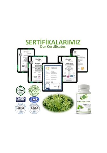Gökçek Şifa Yoğurt Otu LLK (Cleavers Llc Capsule) 60 Kapsül