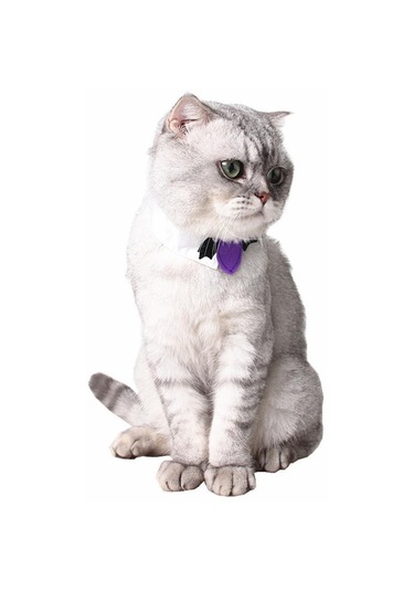 Homyl 2 Adet Pet Papyon Köpek Kedi Ayarlanabilir Boyun Kravat Camgöbeği