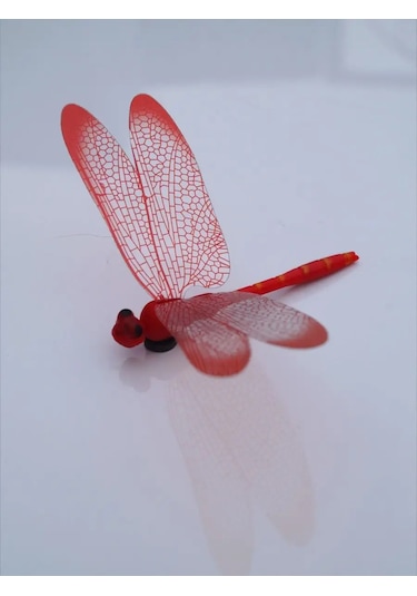 Luce St Buzdolabı Dekoru İçin 8 Parça 8.5 Cm Yusufçuk Mıknatısı Seti. 153978399