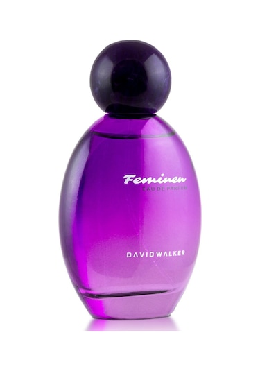 David Walker B219 Scandive Kadın Parfüm EDP 100 ML
