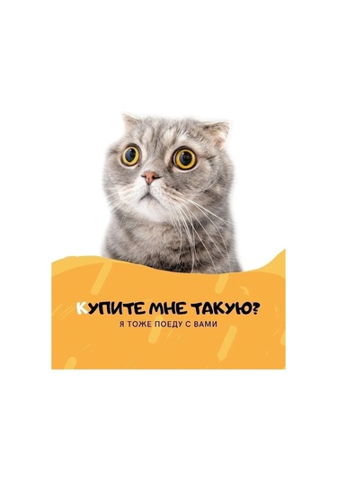 Bobrıkgora Kedi Ve Köpek Taşıma Çantası 144435361