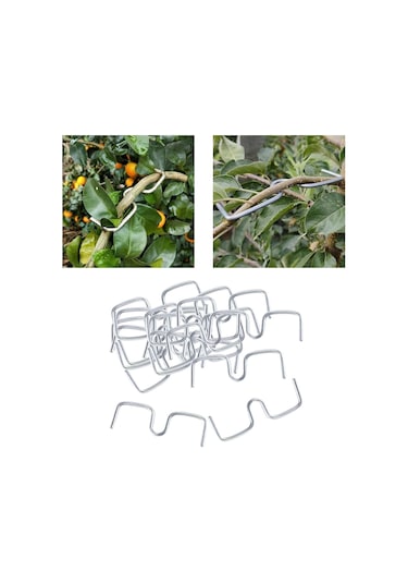 Suntek Meyve Ağacı Dalları 10 Cm Şekillendirme Için Uzun-10cm