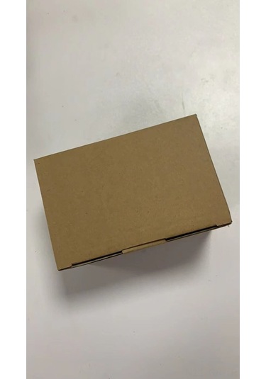 Singree "2'li Paket 25w Kaplumbağa Isıtma Lambası - Uva/uvb Işık Kaynağı" Gümüş