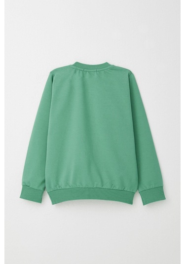 Breeze Erkek Bebek Eşofman Takım Yarışçı Ayıcık Baskılı 9 Ay-3 Yaş, Mint Yeşili Mint Yeşili