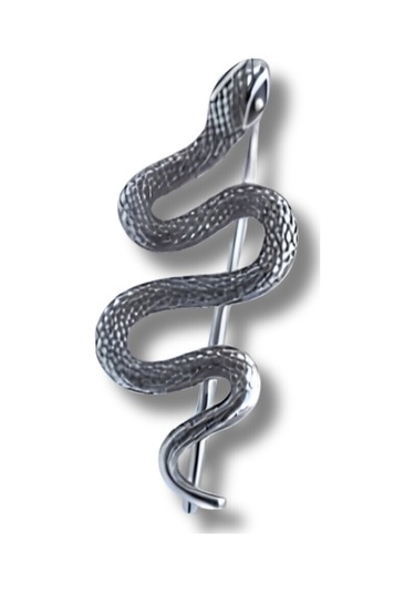 Tekli Snake Küpe Çelik