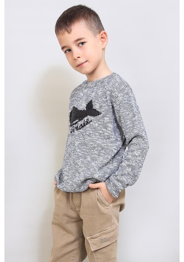 Alexandergardı Çocuk Desenli Triko Kazak C19-ag50384 Gri