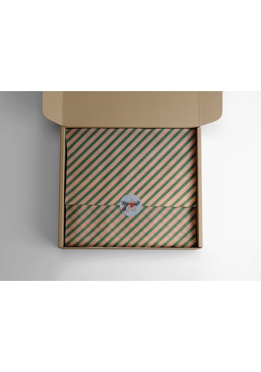 Yeşil Verev Kraft Ambalaj Kağıdı Seti 10 Rulo Kağıt 70x100 Cm