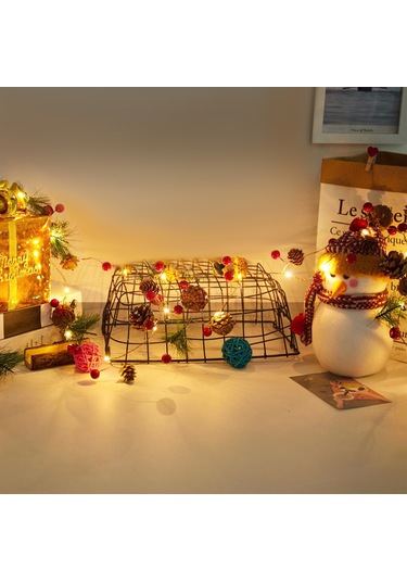 Ranyeek Yeni Noel Gövde Işık Zinciri, 2m 20 Led, Gövde-sarmısak Dekorasyon, 3 Pil İle Çalışır, Kreatif Ev Dekoru Diğer