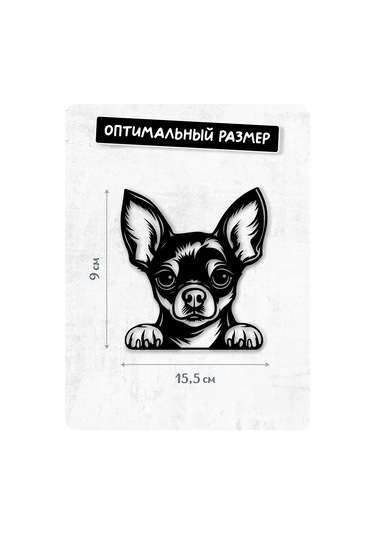 Stadi Dikkat Eden Köpek Etiketi 201967031 Siyah