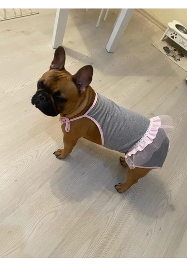 Best Golden Monkey Köpekler İçin Slip Slip-kombinezon 42867033