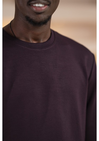 Paul Martin Modal Esnek Kumaş Regular Fit Mevsimlik Sweatshirt Mor