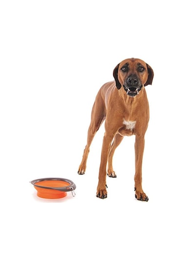 M-pets Kedi Ve Köpekler İçin Katlanır Silikon Mama Ve Su Kabı Turuncu 1230 Ml 244-51018.02