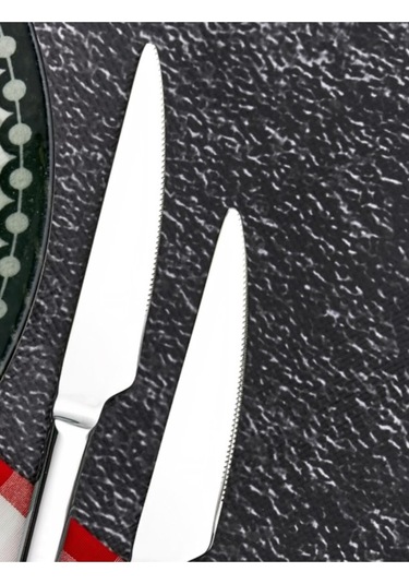 Cooker 2'lı Heybeli Paslanmaz Çelik Yemek Bıçağı Ckr2169 Çelik