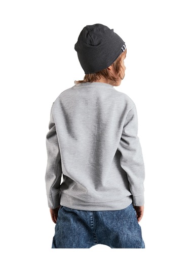 Denokids Roar Erkek Çocuk Sweatshirt - Gri
