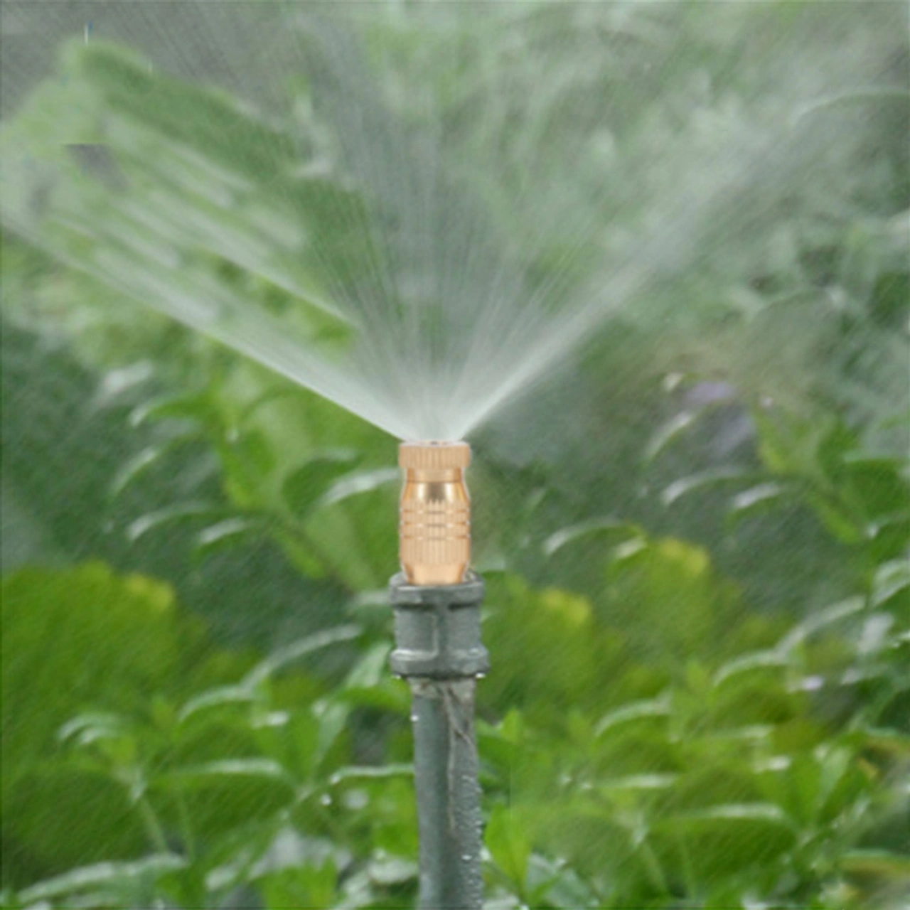 Hangfox 10 Adet Bakır Somunlu Buharlayıcı Nozzle - 3-50 Mikron Buhar, 20-70 Kg Basınç, Korumalı Ve Kolay Kurulum