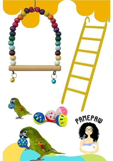 Kuş Salıncağı , Kuş Merdiveni Ve Oyun Topu Avantaj Seti