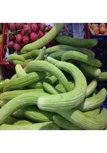 İnce Uzun Meyveli Dağcı Acur Tohumu 20 Tohum