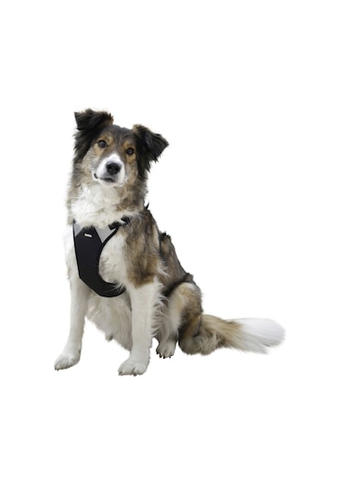 Kerbl Göğüs Tasması Köpek Siyah 72 - 96 CM Siyah