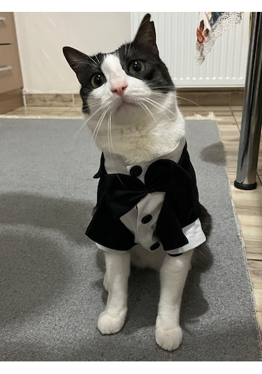 Gobo Papyonlu Smokin Damatlık Kedi Köpek Giyim Takım Elbise