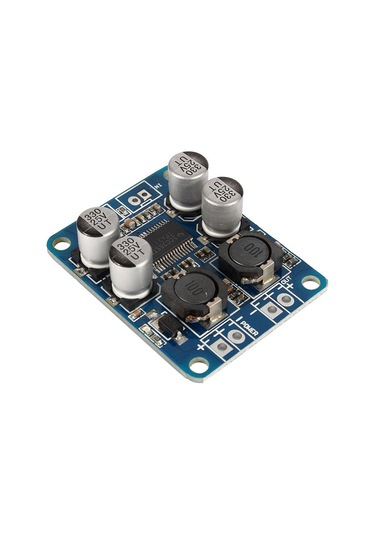 Lemestar Tpa3118 Çipli Mono Dijital Güçlendirici Kartı - 1x60w, Yüksek Kaliteli Ses, Düşük Tüketim, Uzun Ömürlü