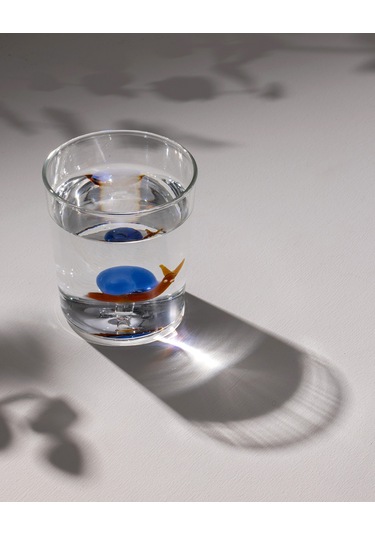 Madame Coco Violet Borosilikat Cam Bardak - Sarı/mavi - 350 Ml 8684427179772 Çok Renkli