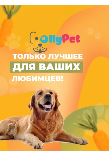 Ollypet Büyük Ve Orta Boy Köpekler İçin Dayanıklı Havuç Oyuncak 227013316