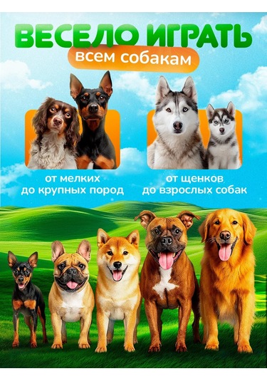 Köpekler İçin Diş Temizleme Oyuncağı 433594088