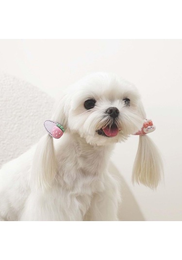 M-pets Glam Figürlü Kedi Ve Köpekler İçin Aksesuar Toka Pembe Mor